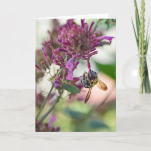 Auf der Hummingbird Mint Karte
