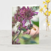 Auf der Hummingbird Mint Karte (Gelbe Blume)
