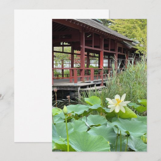 Auf der Insel (Vorne/Hinten)