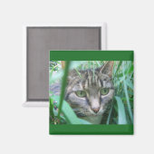 Auf der Jagd Cat Magnet (Vorderseite/Rückseite)