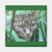 Auf der Jagd Cat Magnet (Vorne)