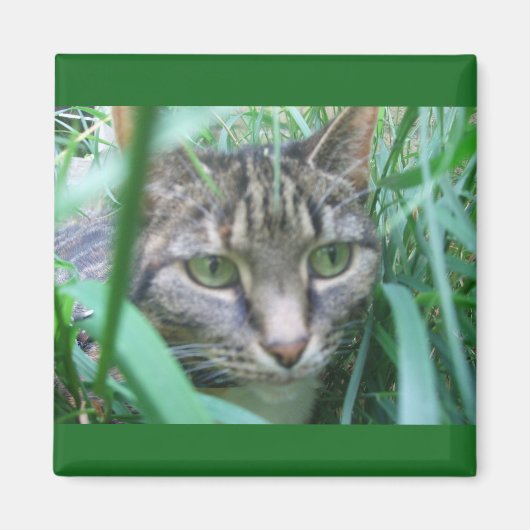 Auf der Jagd Cat Magnet (Vorne)