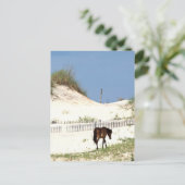 "Auf der Kante" Postkarte (Stehend Vorderseite)