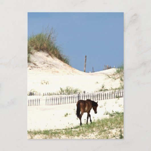 "Auf der Kante" Postkarte (Vorderseite)