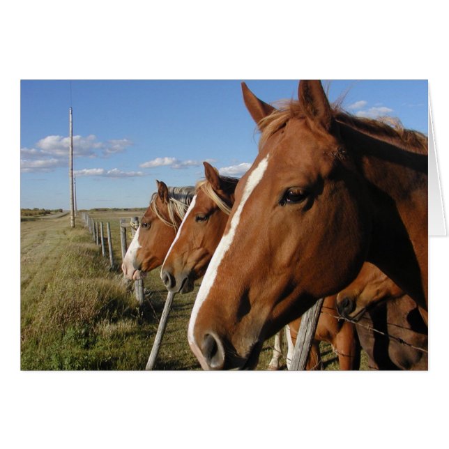 Auf der Linie (Vorderseite (Horizontal))