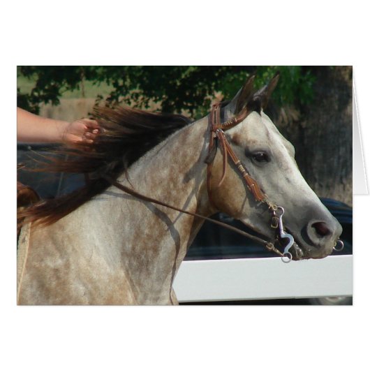 Auf der Pferdeausstellung (Vorderseite (Horizontal))