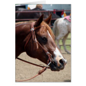 Auf der Pferdeausstellung (Vorne)