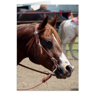 Auf der Pferdeausstellung