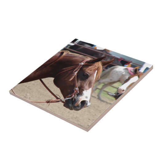 Auf der Pferdeausstellung Fliese (Seite)