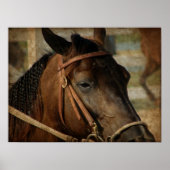 Auf der Pferdeausstellung Poster (Vorne)