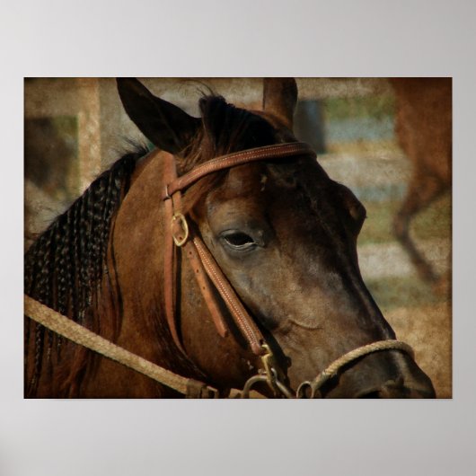 Auf der Pferdeausstellung Poster (Vorne)