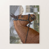 Auf der Pferdeausstellung Puzzle (Vertikal)