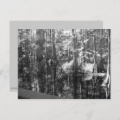 Auf der Postkarte der Bank (Vorne/Hinten)