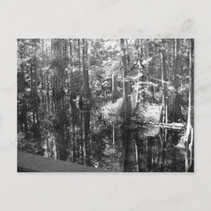 Auf der Postkarte der Bank