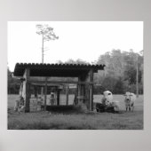 Auf der Ranch - - Kühe - Schwarz und Weiß Poster (Vorne)