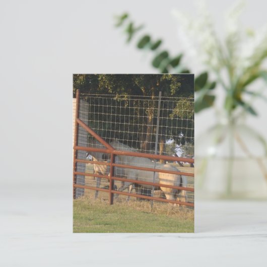 Auf der Range PostCard Postkarte (Stehend Vorderseite)