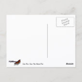 Auf der Schlange I Postkarte (Rückseite)