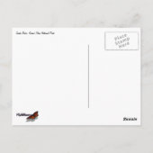 Auf der Schlange II Postkarte (Rückseite)