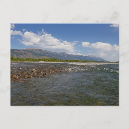 Auf der Schlange II Postkarte (Vorderseite)