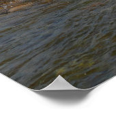 Auf der Snake River II treiben Poster (Ecke)