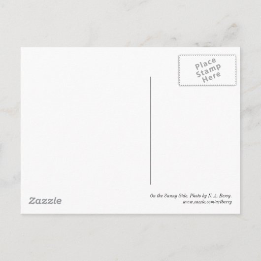Auf der Sonnenseite Postkarte (Rückseite)