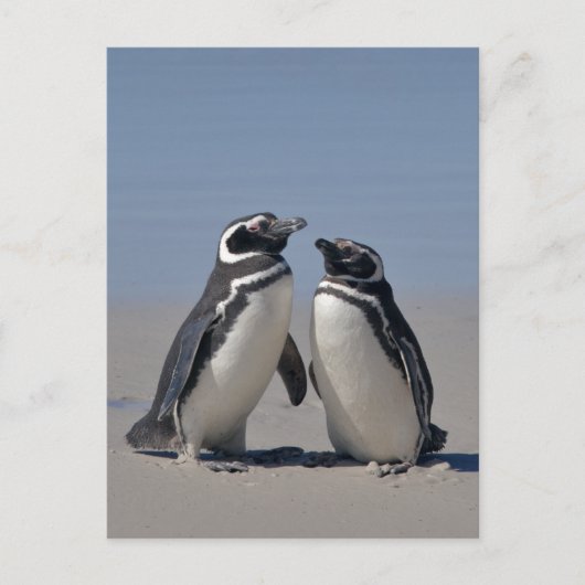 Auf der Strandpostkarte Postkarte (Vorderseite)