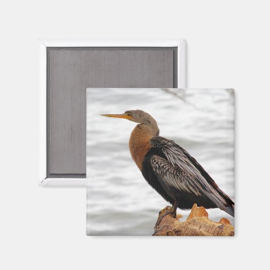 Auf der Suche Magnet (Vorderseite/Rückseite)