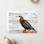 Auf der Suche Mitteilungskarte (Vorderseite/Rückseite Beispiel)