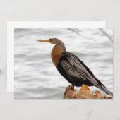 Auf der Suche Mitteilungskarte (Vorne/Hinten)