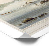 Auf der Suche nach einem Tiger über einen Fluss vo Poster (Ecke)