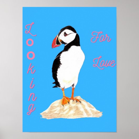 Auf der Suche nach Liebe Puffin Poster (Vorne)