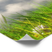 Auf der Weltspitze (Frühjahr) Poster (Ecke)