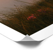 Auf der Weltspitze Poster (Ecke)