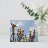 Auf der Weltspitze Postkarte (Stehend Vorderseite)