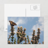 Auf der Weltspitze Postkarte (Vorne/Hinten)