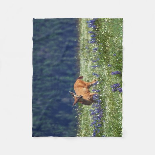 Auf der Wiese Fleecedecke (Vorderseite)