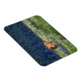 Auf der Wiese Magnet (Rechte Seite)