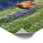 Auf der Wiese Poster (Ecke)