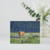 Auf der Wiese Postkarte (Stehend Vorderseite)