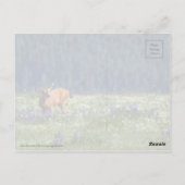 Auf der Wiese Postkarte (Rückseite)