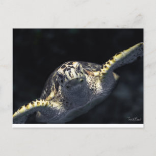 "Auf dich zukommen" Postkarte