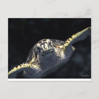 "Auf dich zukommen" Postkarte