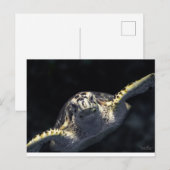 "Auf dich zukommen" Postkarte (Vorne/Hinten)