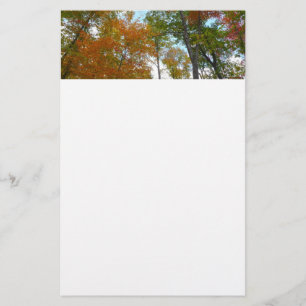Auf die Herbstlaube schauend Ich farbige Fallfolie Briefpapier