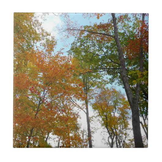 Auf die Herbstlaube schauend Ich farbige Fallfolie Fliese (Vorderseite)