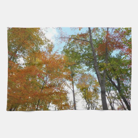 Auf die Herbstlaube schauend Ich farbige Fallfolie Geschirrtuch (Horizontal)