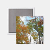 Auf die Herbstlaube schauend Ich farbige Fallfolie Magnet (Vorderseite/Rückseite)