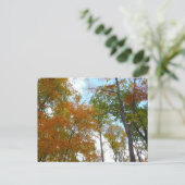 Auf die Herbstlaube schauend Ich farbige Fallfolie Postkarte (Stehend Vorderseite)