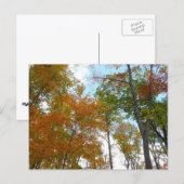 Auf die Herbstlaube schauend Ich farbige Fallfolie Postkarte (Vorne/Hinten)