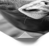 Auf die Ranch Kuh Schwarz-Weiß-Poster gehen Poster (Ecke)